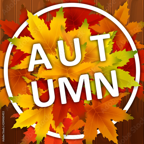 Autumn Background Template, with falling bunch of leaves on wooden boards, shopping sale or seasonal poster