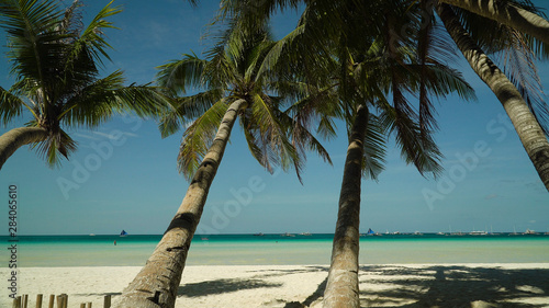 Travel concept: Palm trees on a sandy beach and turquoise sea water. Summer and travel vacation concept. Boracay, Philippines