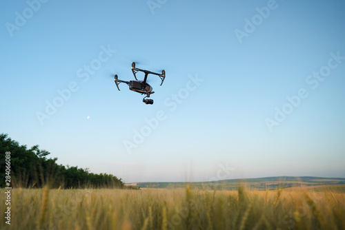 Quadcopter with camera flying over field. Photography quadcopter drone hovering over young green sprouts of wheat plants in a field. Smart agriculture concept