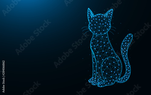 Cat low poly design, animal abstract geometric image, pet wireframe mesh polygonal vector illustration made from points and lines on dark blue background