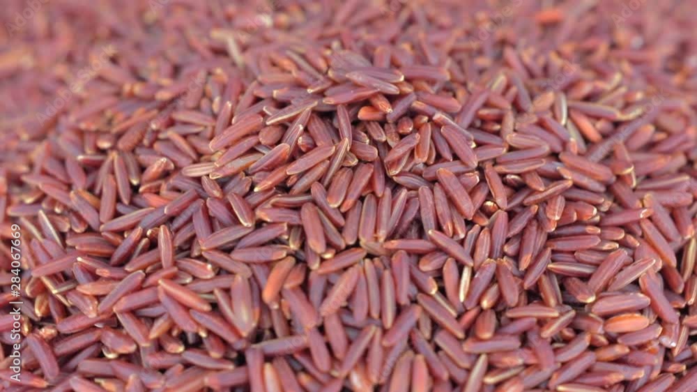 Extreme close up top view Rotation and falling down of dry raw unpolished brown red rice, Red rice closeup,Pile of unpolished rice background Extreme close up top view Rotation and falling down of dry raw unpolished brown red rice, Red rice closeup,Pile of unpolished rice background