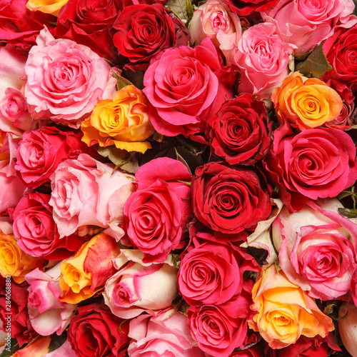 Pink and red rose flowers bouquet. Colorful romantic decoration of assorted roses. Nature floral background © Ruslan Gilmanshin