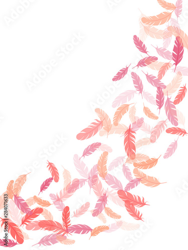 Detailed majestic feather on white design.