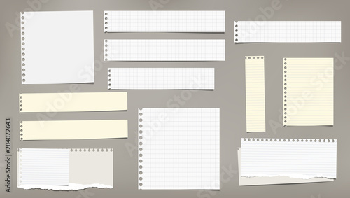 Set of torn white and yellow note, notebook strips, lined and squared paper pieces stuck on grey background. Vector illustration