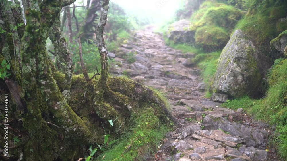 Mount Tsurugi in Tokushihma, Japan, August 2019. Mount Tsurugi in Tokushihma, Japan, August 2019.