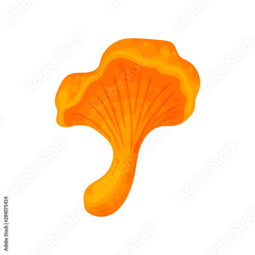 Colorful fresh autumn wild forest mushroom. Cartoon flat style silhouettes icons. Great autumn design concept elements. Vector illustration.