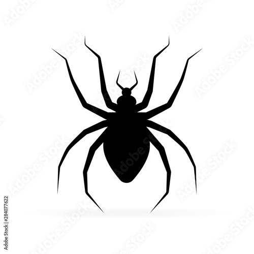 Black silhouette spider. Spider icon, Isolated. Spider logo template. Halloween symbol. Black tattoo design.