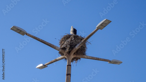 Faro city and natural park Ria Formosa in the south of Portugal