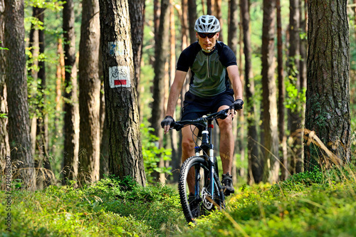 A man on a bicycle riding on a forest path.