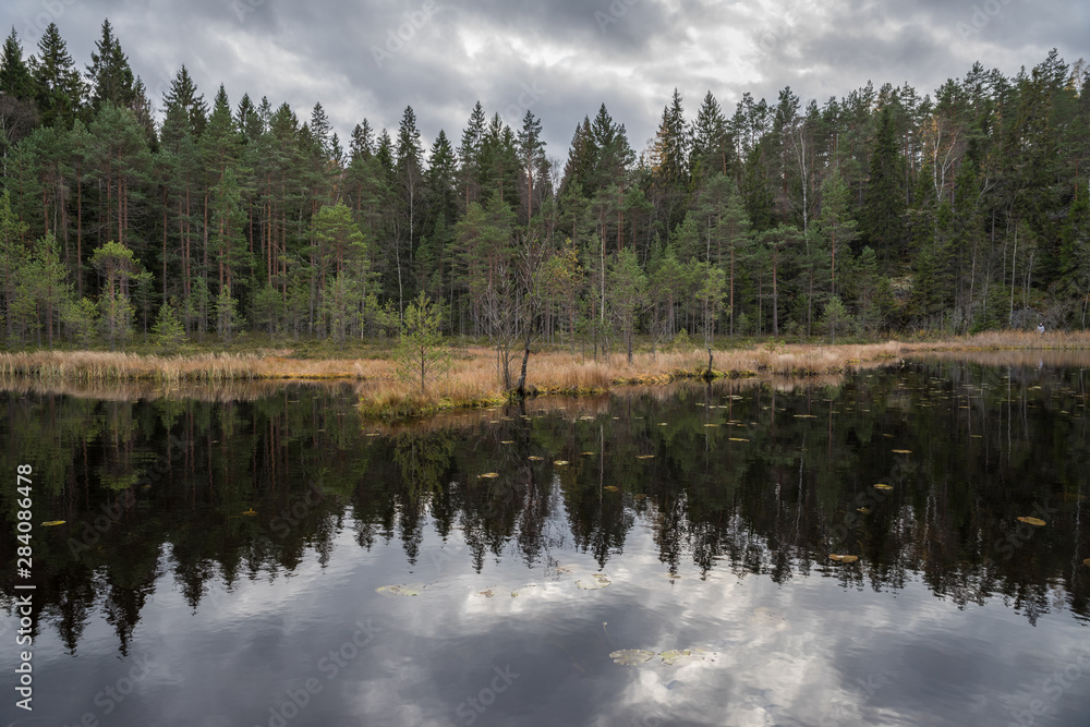 coniferous forest and cloudy sky reflects in the lake