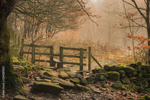 An old stile in woodland leads invitingly into a misty autumn landscape