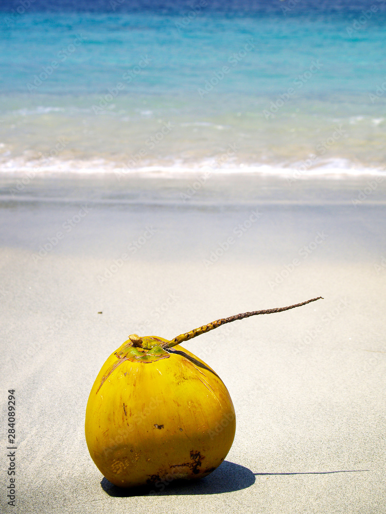 fresh coconut on white sand beach fresh coconut on white sand beach