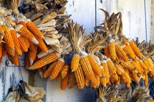 garland of corn drying