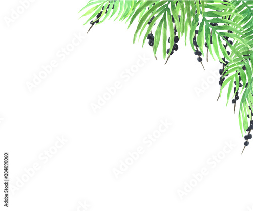 Vector watercolor frame of acai berries and leaves.
