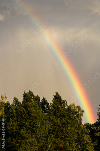 Regenbogen farbenfroh