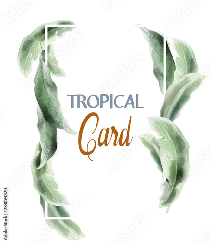 Green card leaves Vector watercolor. Summer round tropic botanical posters