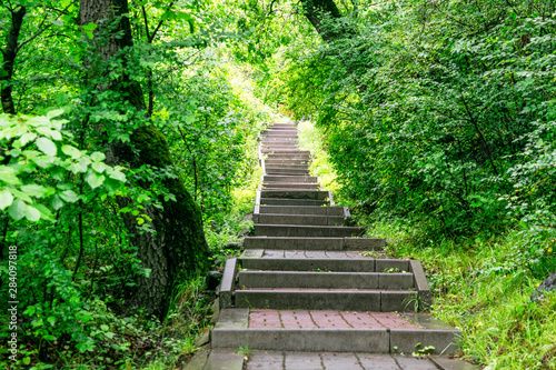 up stairs in the mountains in a forest