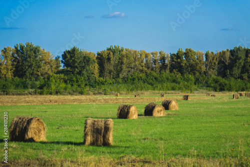 haystack lying among the green field and blue sky