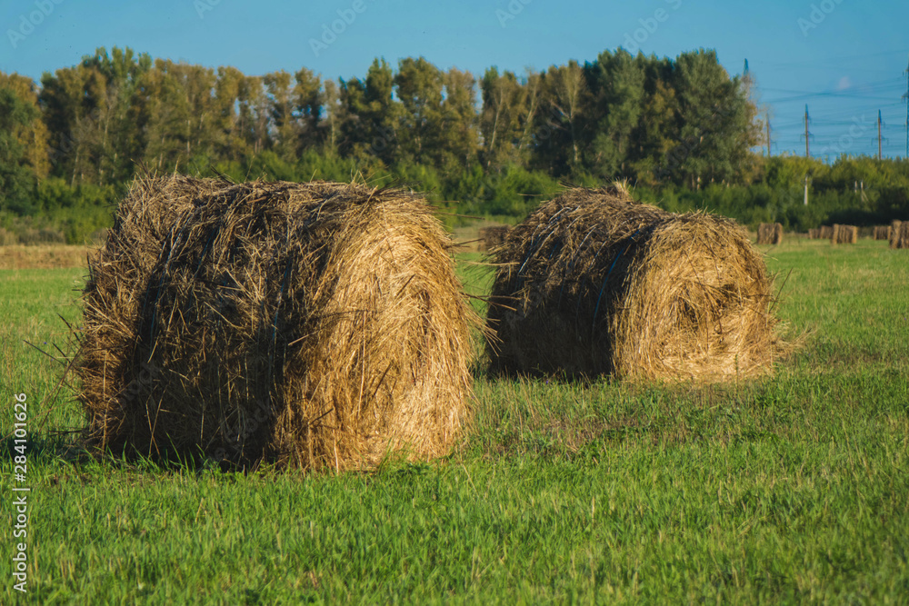 haystacks on a Sunny summer day with a cloudless sky haystacks on a Sunny summer day with a cloudless sky