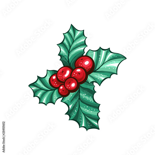 Christmas berry holly or ilex. Red xmas branch fruit. Winter aquifolium leaves decor. Christmas berry traditional isolated vector symbol