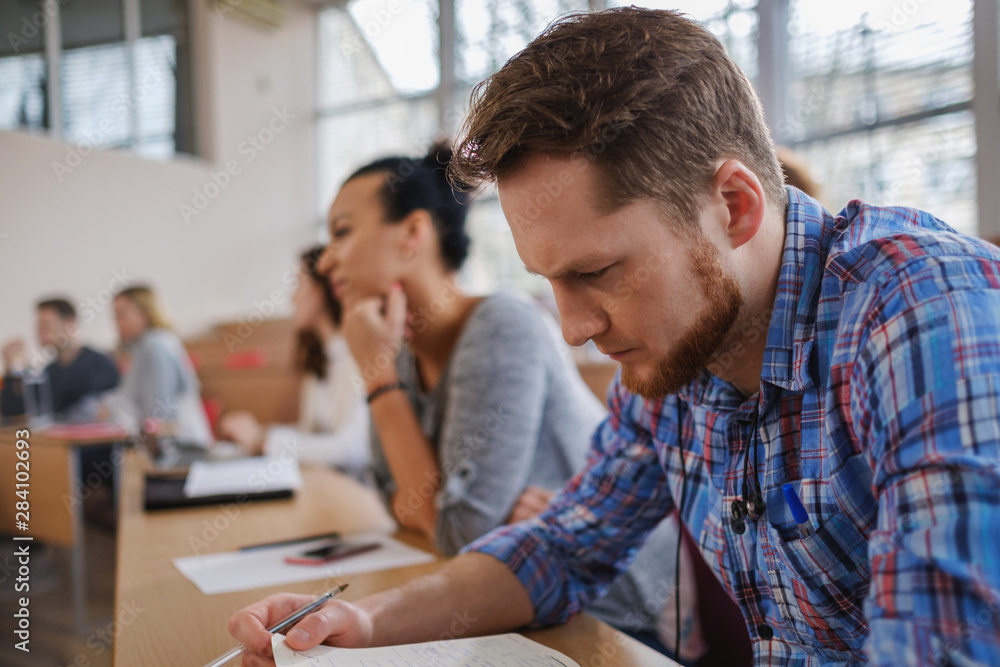 Fototapeta premium Multinational group of students in an auditorium