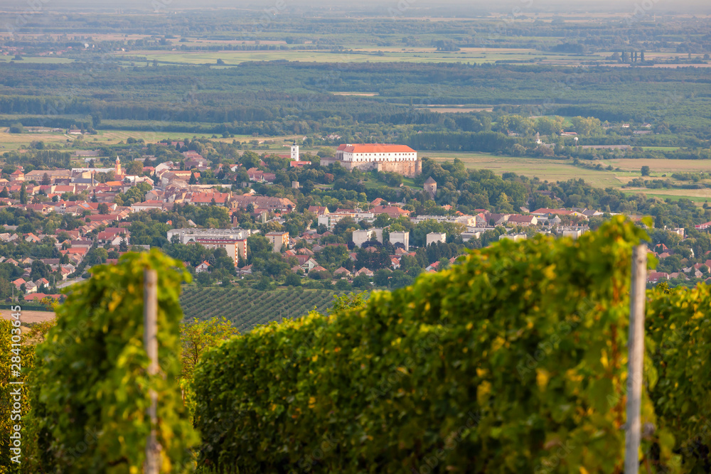 Fototapeta premium vineyards and Siklos castle, Hungary