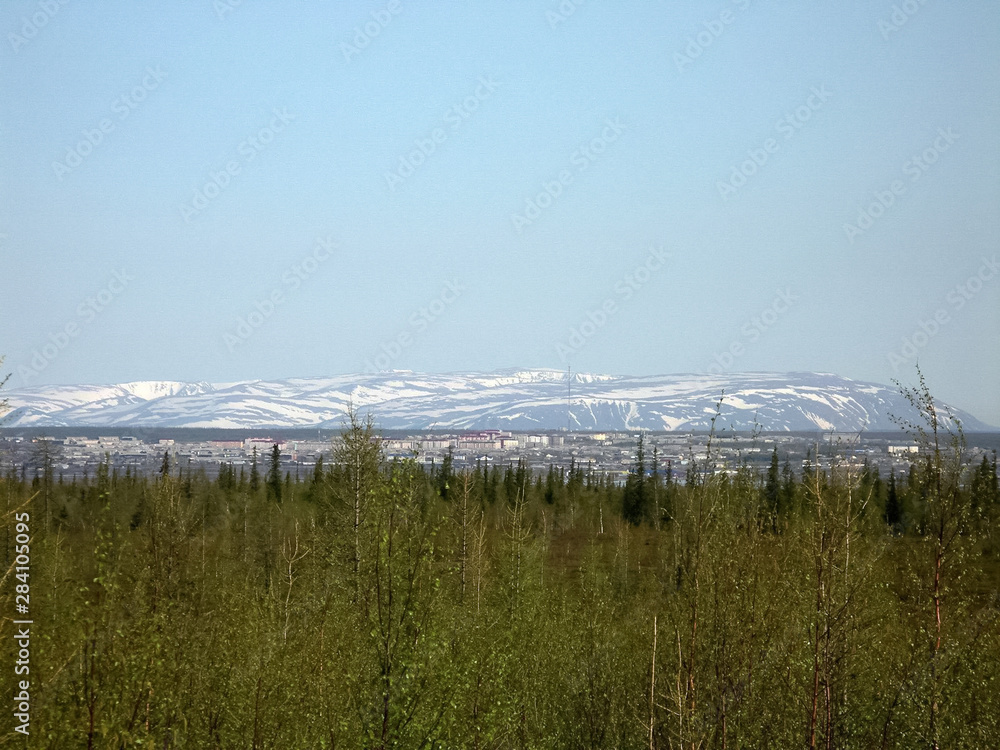 Forest tundra landscape in the summer. Taiga of Siberia. Yamal. Forest tundra landscape in the summer. Taiga of Siberia. Yamal.
