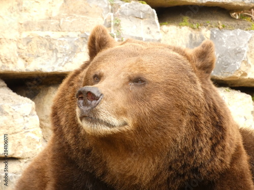 ours