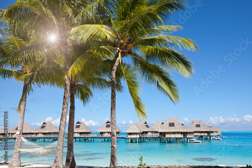 View of the sandy beach with palm trees and hammok  Bora Bora  French Polynesia