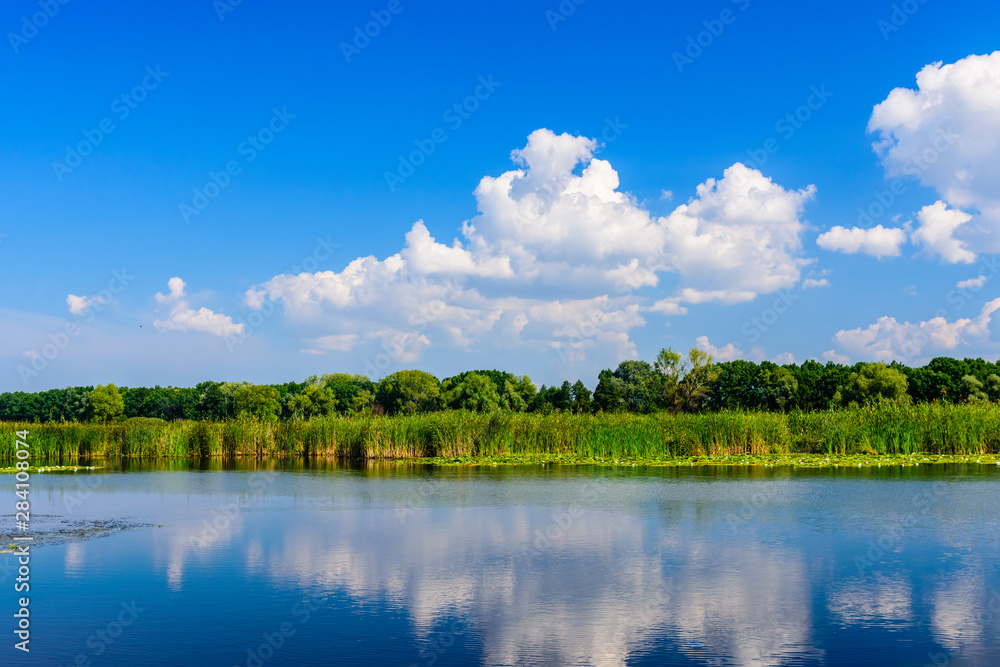 Summer landscape with the green trees and river - obrazy, fototapety, plakaty 