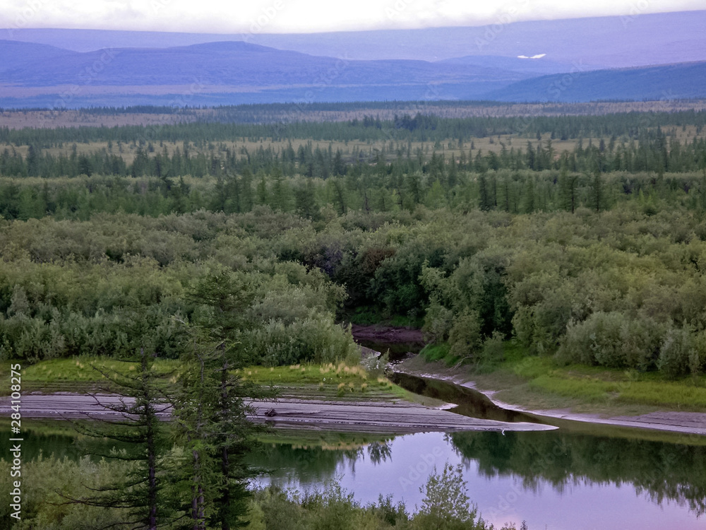 River landscape. Northern reindeer in summer forest. The sky, gr River landscape. Northern reindeer in summer forest. The sky, gr