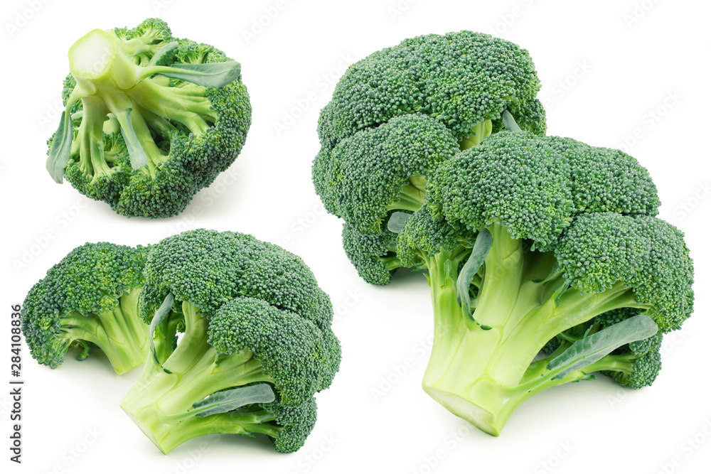 Broccoli isolated on white background. Collection