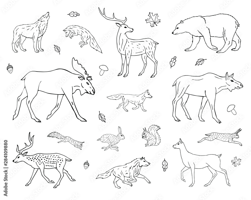 Forest Animals Drawing Images  Free Download on Freepik