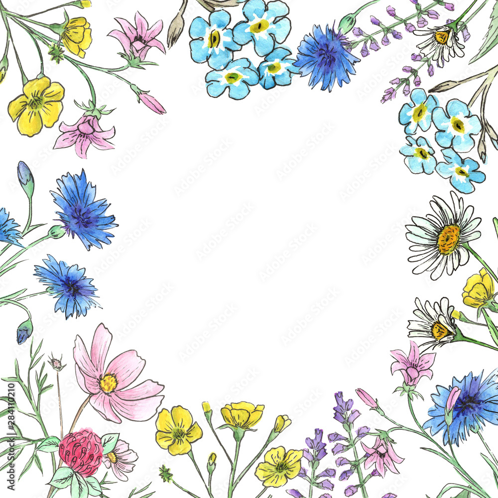 Watercolor border of wild flowers