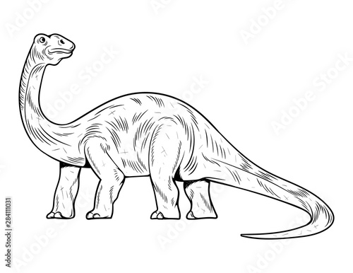 Brontosaurus the highest dino dinosaur