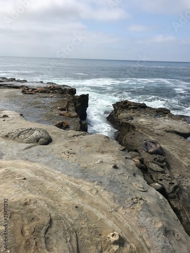 rocks in the sea