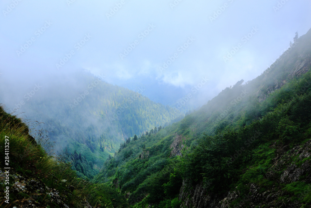 Fog in the mountains Fog in the mountains