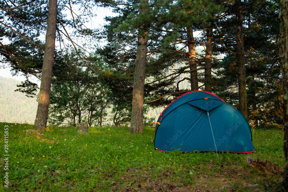 Tourism and travel concept. Tent in pine forest in summer, tent camp