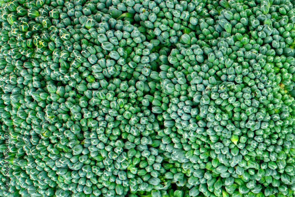 Healthy fresh food background. Macro texture of broccoli