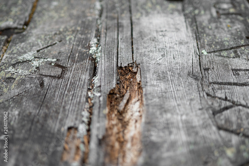 rotting wooden table tabletop