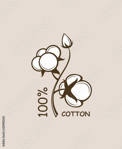pattern cotton plant flowers branch