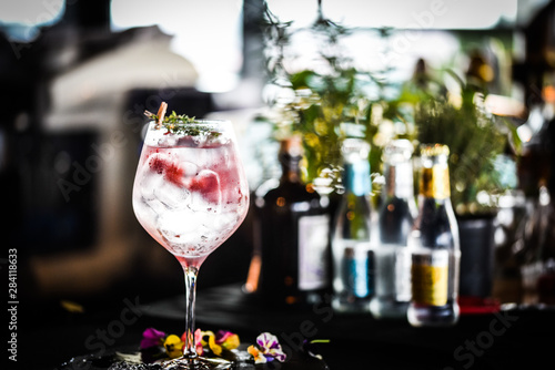 tonic gin with  fresh raspberry and rosemarie plant