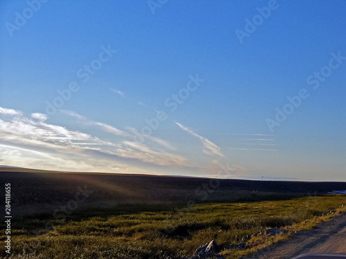 Landscape of the tundra in summer. Summer tundra on the Yamal Pe photo