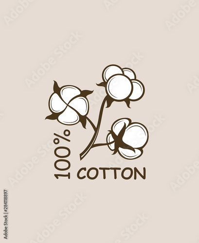 pattern cotton plant flowers branch