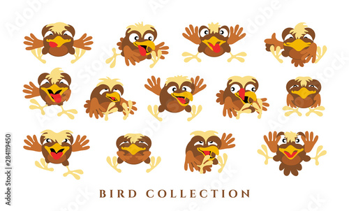 Fototapeta Naklejka Na Ścianę i Meble -  Set cartoon funny birds. Collection of yellow-brown chicks with emotions on a white background. Isolated, in a flat style. Vector illustration