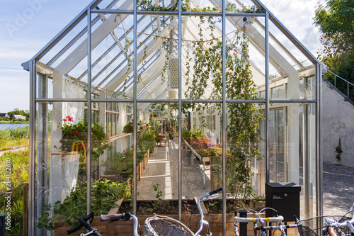 Inside the greenhouses at restaurant Noma photo