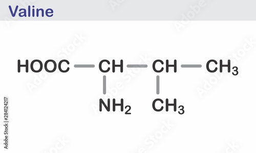 The Valine amino acid molecule. Skeletal formula.
