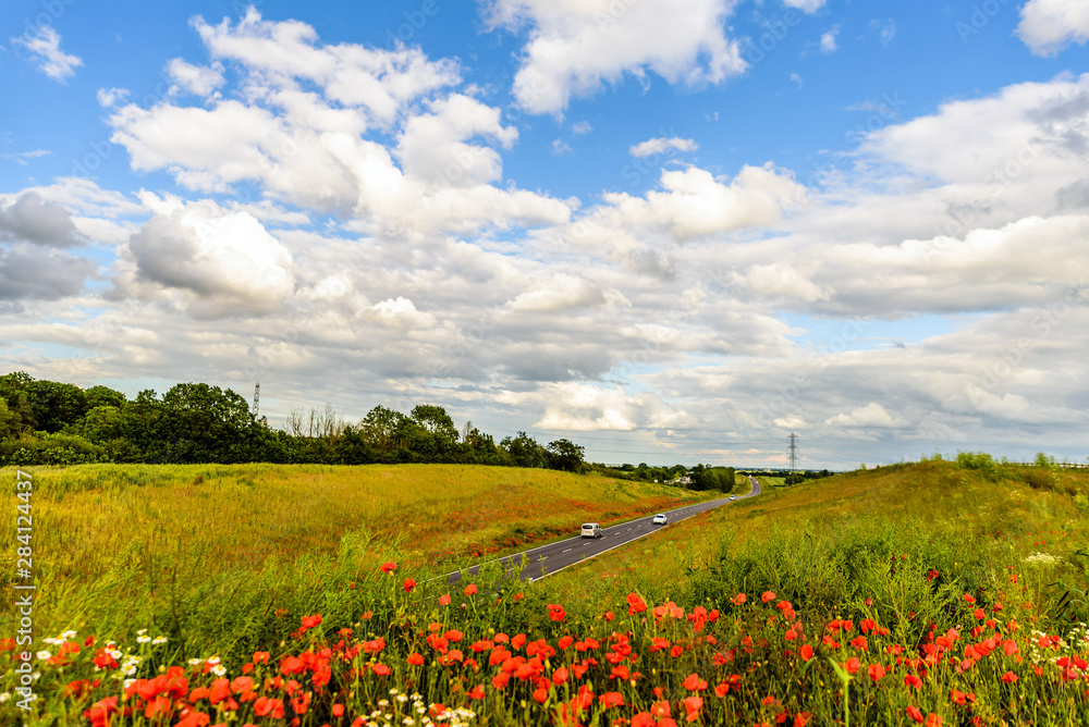 uk motorway road with poppies in foreground view at daylight