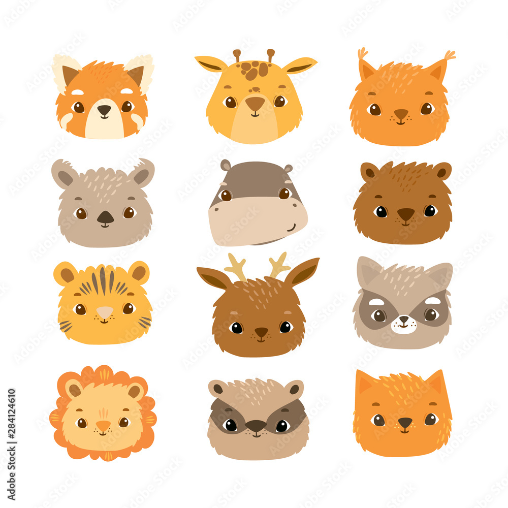 Obraz Grafika wektorowa z twarzami uroczych zwierzątek. Szop pracz, borsuk, wiewiórka, lis, hipopotam, żyrafa, koala, lew, tygrys, kot, jeleń, niedźwiedź, czerwona panda, wiewiórka
