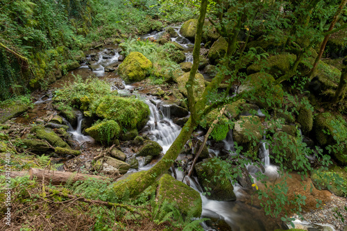 Long exposure of the West Lyn river flowing through the woods at Glen Lyn gorge at Lynmouth in Devon photo